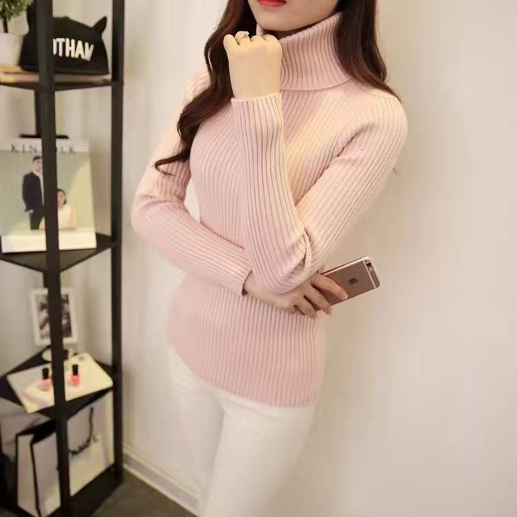 Slim Fit Knitted Turtleneck Sweater