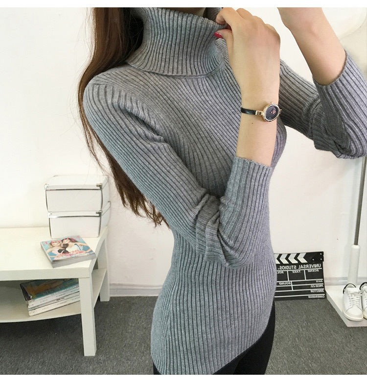 Slim Fit Knitted Turtleneck Sweater